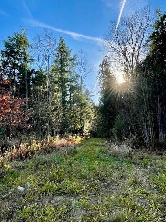 80 Wheaton Way Bradford, ME 04410 - Photo 38 of 41 40-Field (Copy)