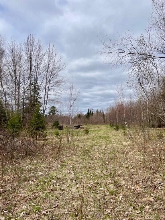 80 Wheaton Way Bradford, ME 04410 - Photo 39 of 41 41-Field (Copy)