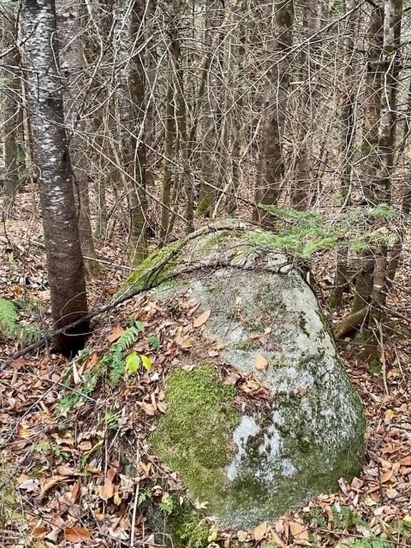 80 Wheaton Way Bradford, ME 04410 - Photo 40 of 41 42-Mossy Rock (Copy)