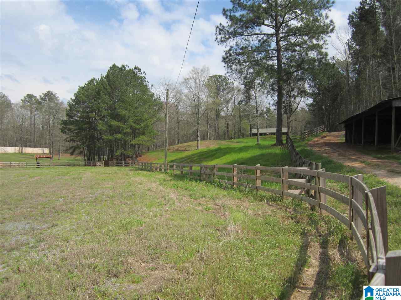 8460 Wolf Creek Road South Pell City, AL 35128 - Photo 36 of 49