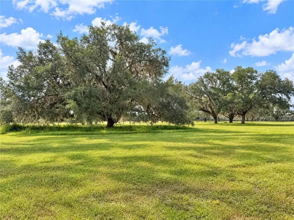 104 Southwest 104th Street Road Ocala, FL 34476 - Photo 15 of 19 Gallery Image 15