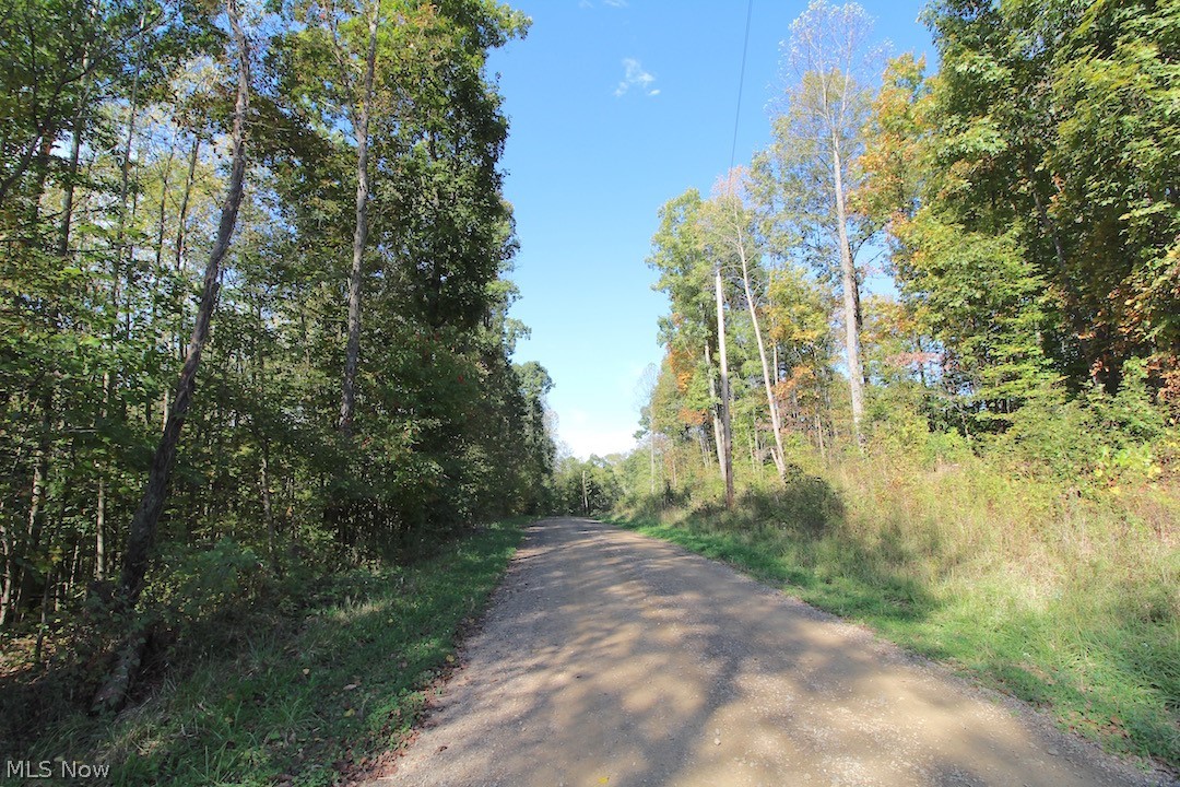 Horseshoe Bend Road Newcomerstown, OH 43832 - Photo 21 of 23 Gallery Image 21