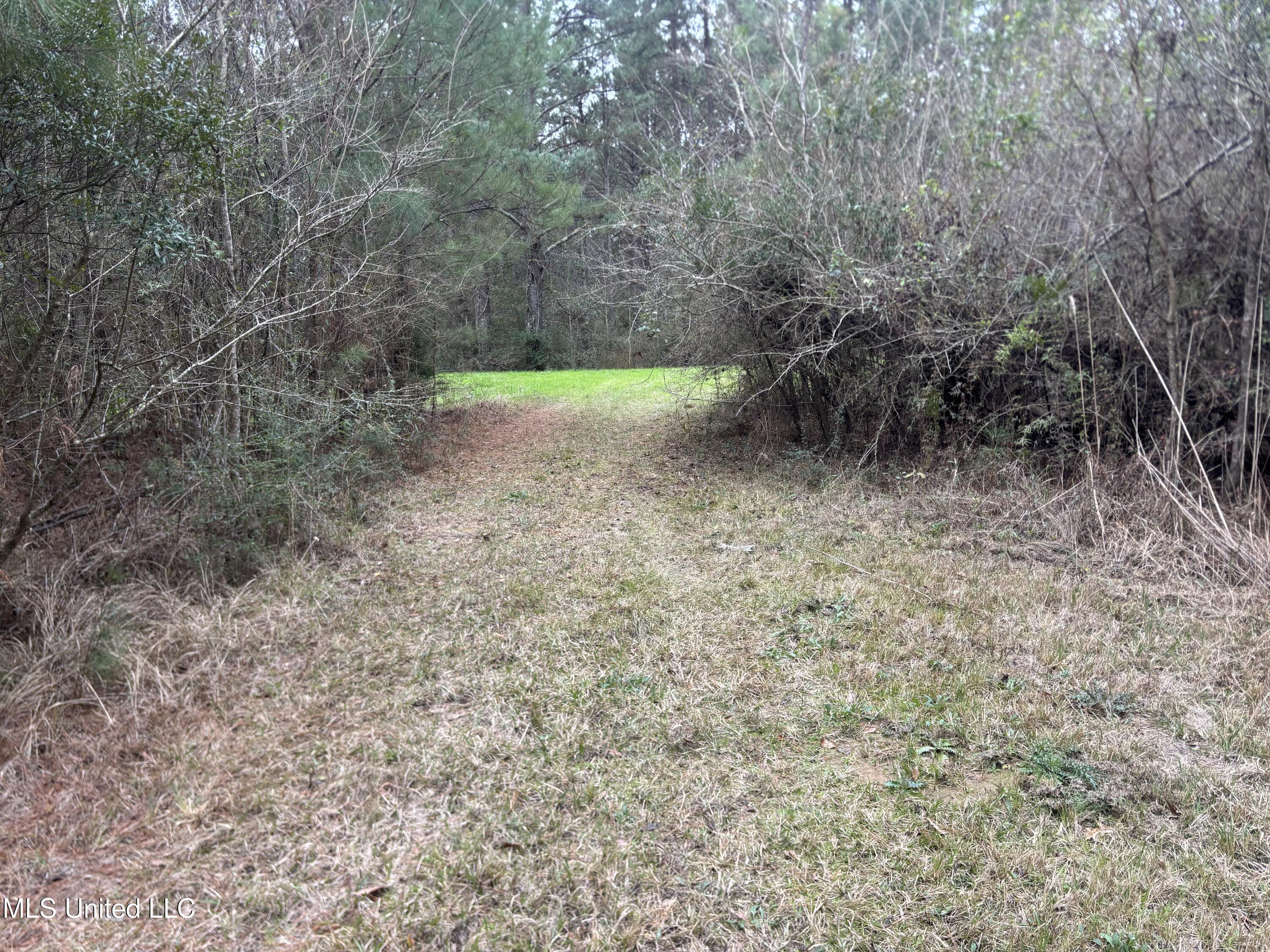 0 Magnolia Progress Road Magnolia, MS 39652 - Photo 11 of 30 IMG_2473