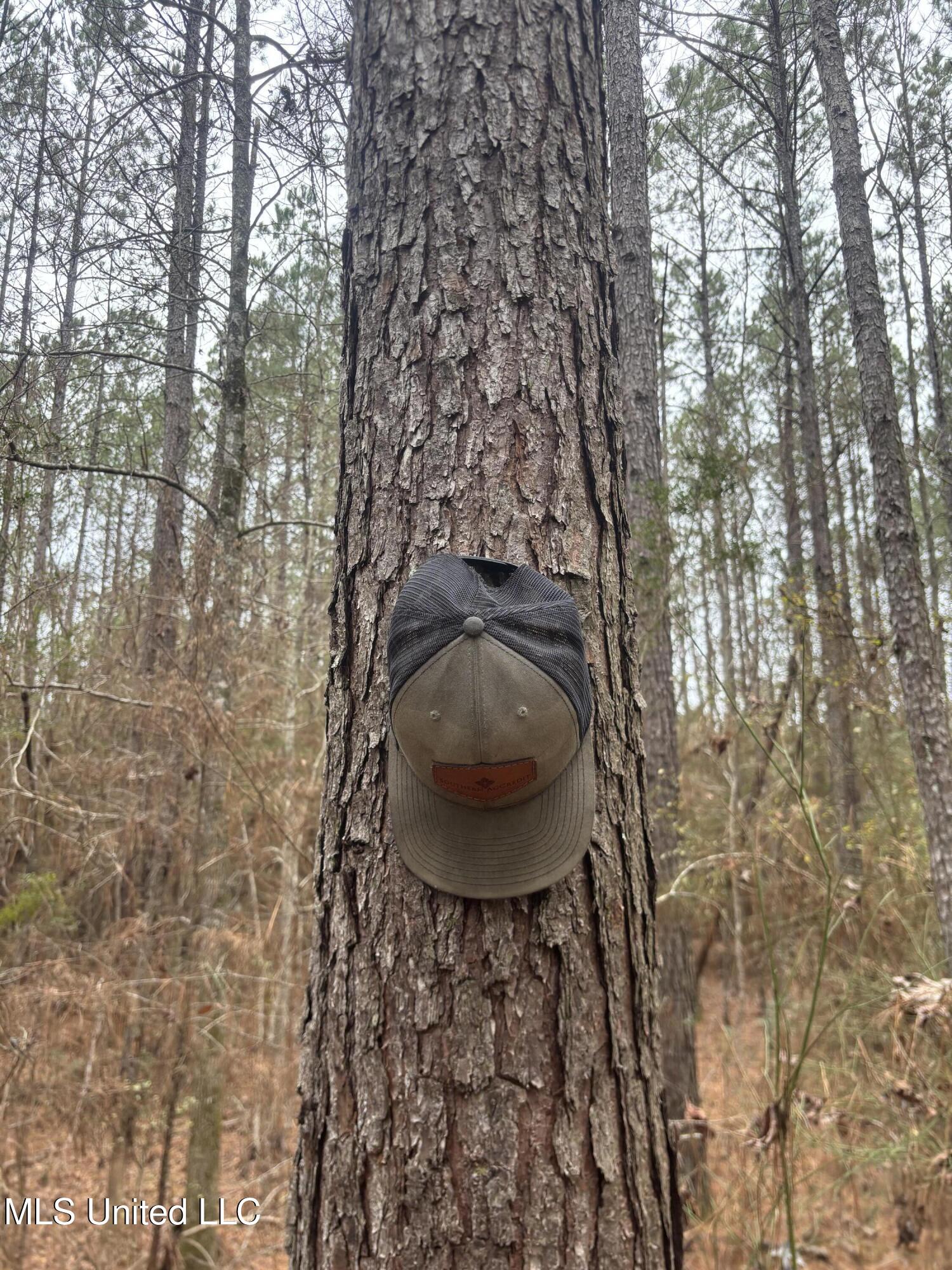 0 Magnolia Progress Road Magnolia, MS 39652 - Photo 14 of 30 IMG_2475