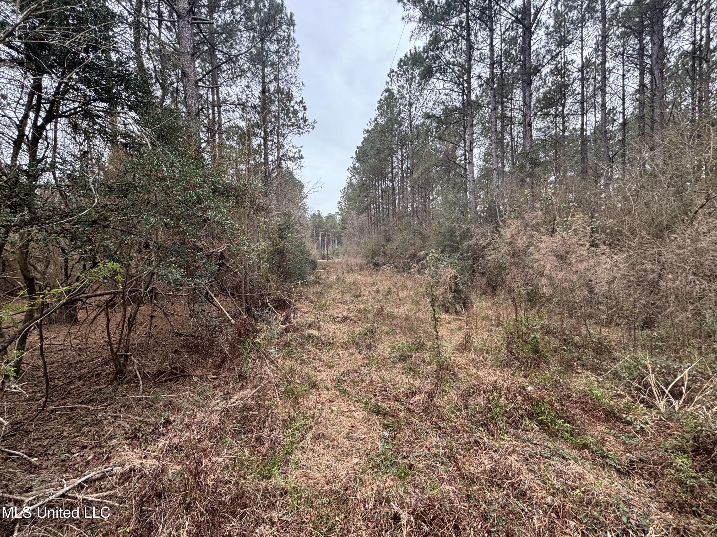 0 Magnolia Progress Road Magnolia, MS 39652 - Photo 26 of 30 IMG_2488