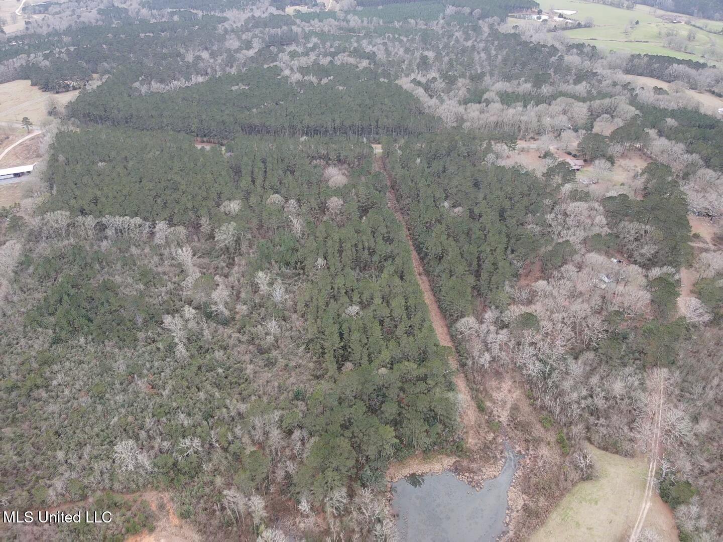 0 Magnolia Progress Road Magnolia, MS 39652 - Photo 3 of 30 2026-01-21-13-29-59-797
