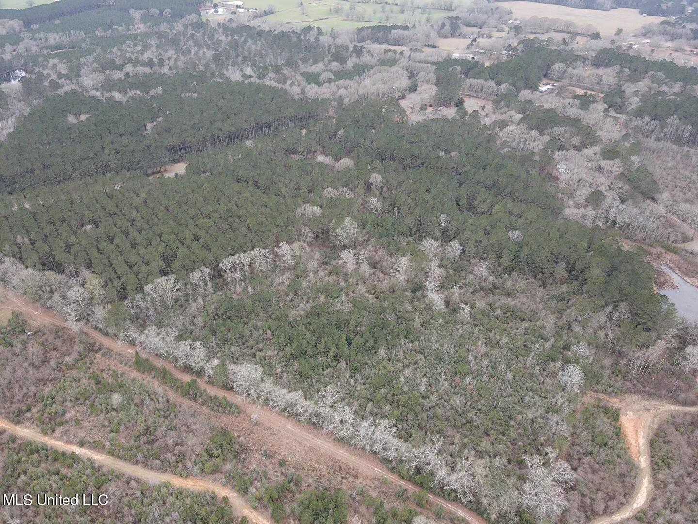 0 Magnolia Progress Road Magnolia, MS 39652 - Photo 5 of 30 2026-01-21-13-30-57-626