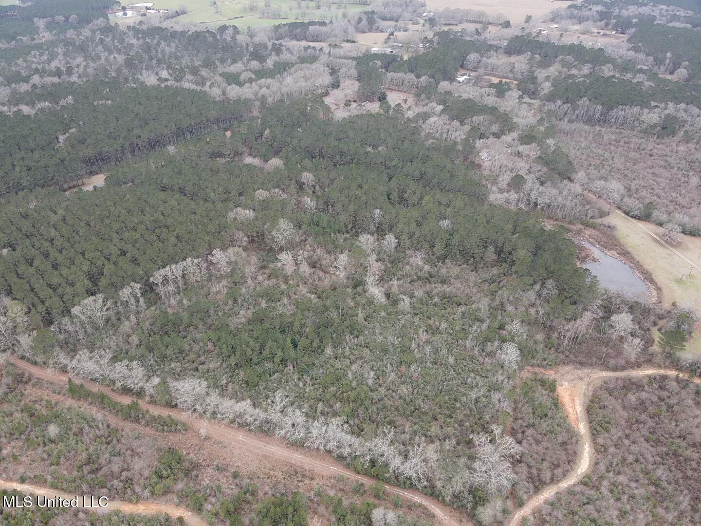 0 Magnolia Progress Road Magnolia, MS 39652 - Photo 8 of 30 2026-01-21-13-31-02-820