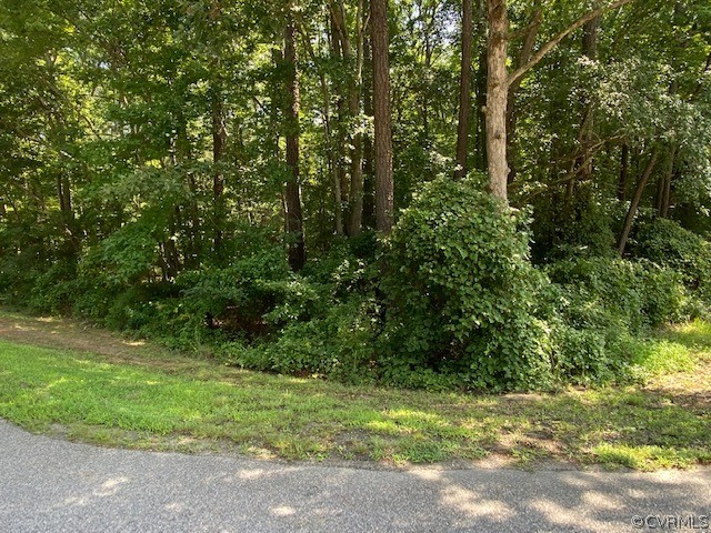 0 Dry Bridge Road Sandston, VA 23150 - Photo 1 of 5 Gallery Image 1