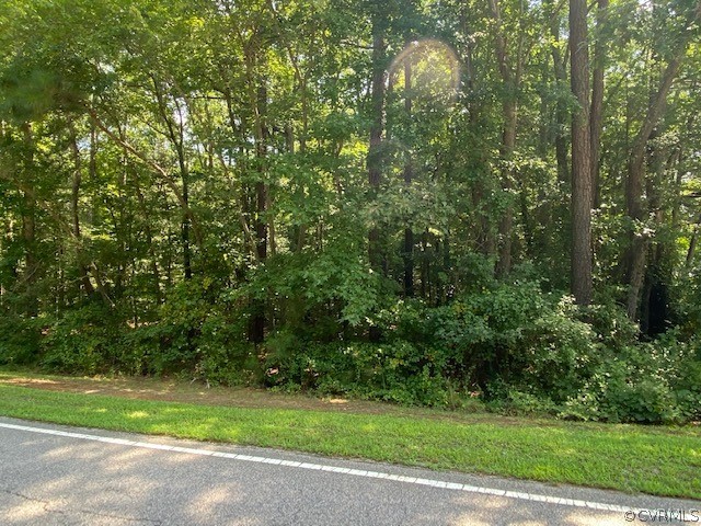 0 Dry Bridge Road Sandston, VA 23150 - Photo 3 of 5 Gallery Image 3