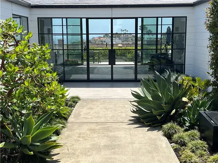 a view of a garden with plants