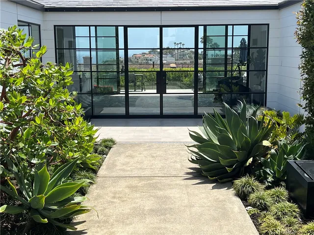 a view of a garden with plants