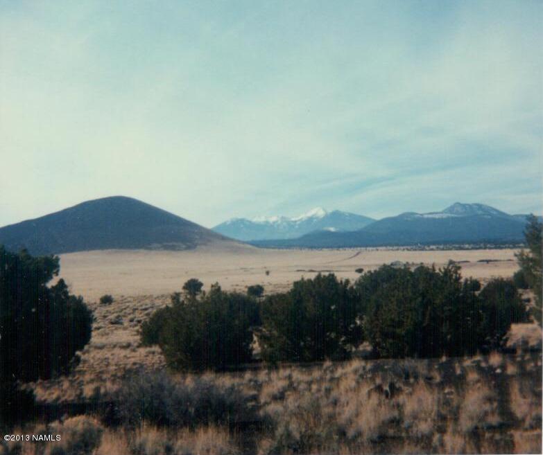 42-n East Alpine Ranch Flagstaff, AZ 86004 - Photo 1 of 14 Looking West