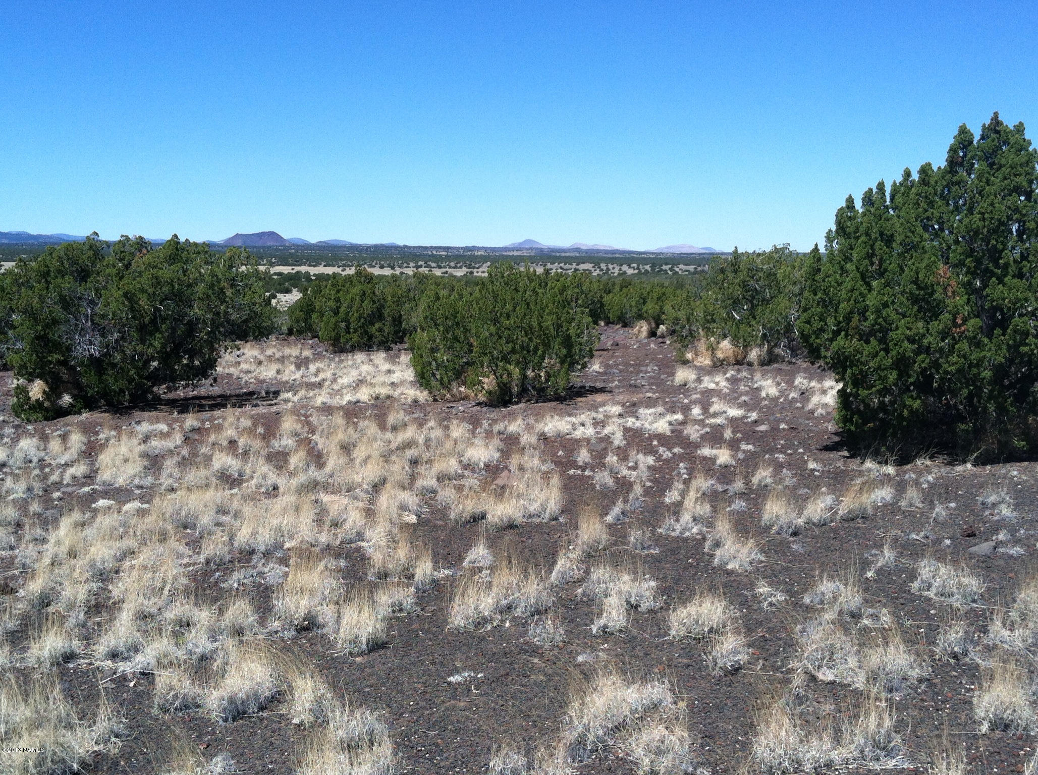 42-n East Alpine Ranch Flagstaff, AZ 86004 - Photo 11 of 14 photo
