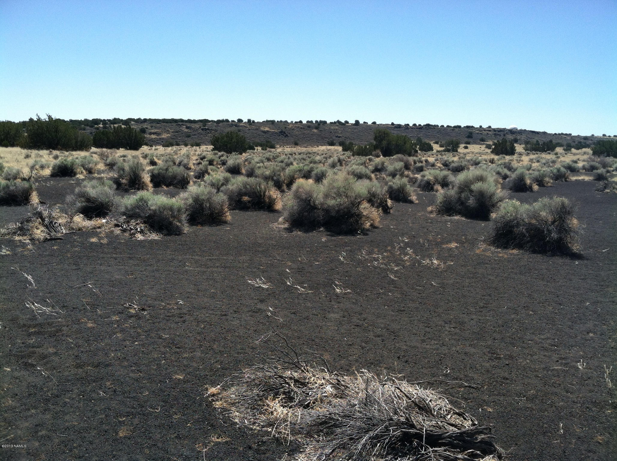 42-n East Alpine Ranch Flagstaff, AZ 86004 - Photo 2 of 14 photo
