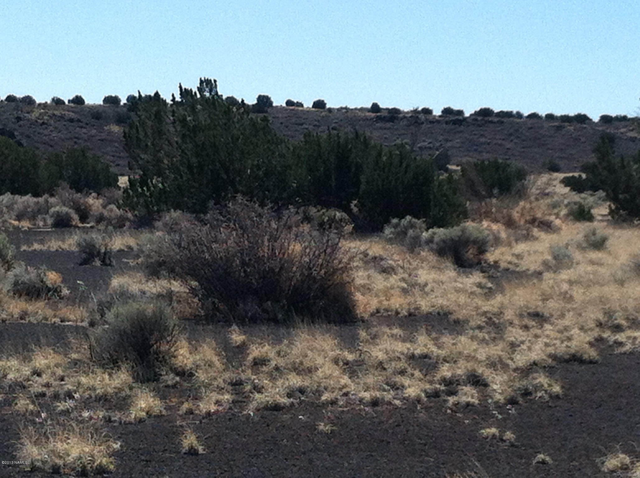 42-n East Alpine Ranch Flagstaff, AZ 86004 - Photo 3 of 14 photo