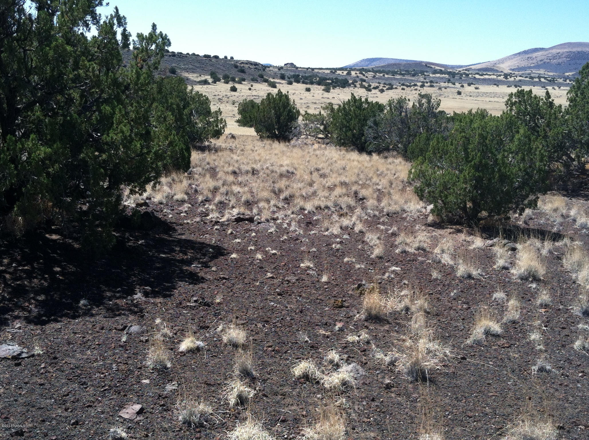 42-n East Alpine Ranch Flagstaff, AZ 86004 - Photo 10 of 14 photo