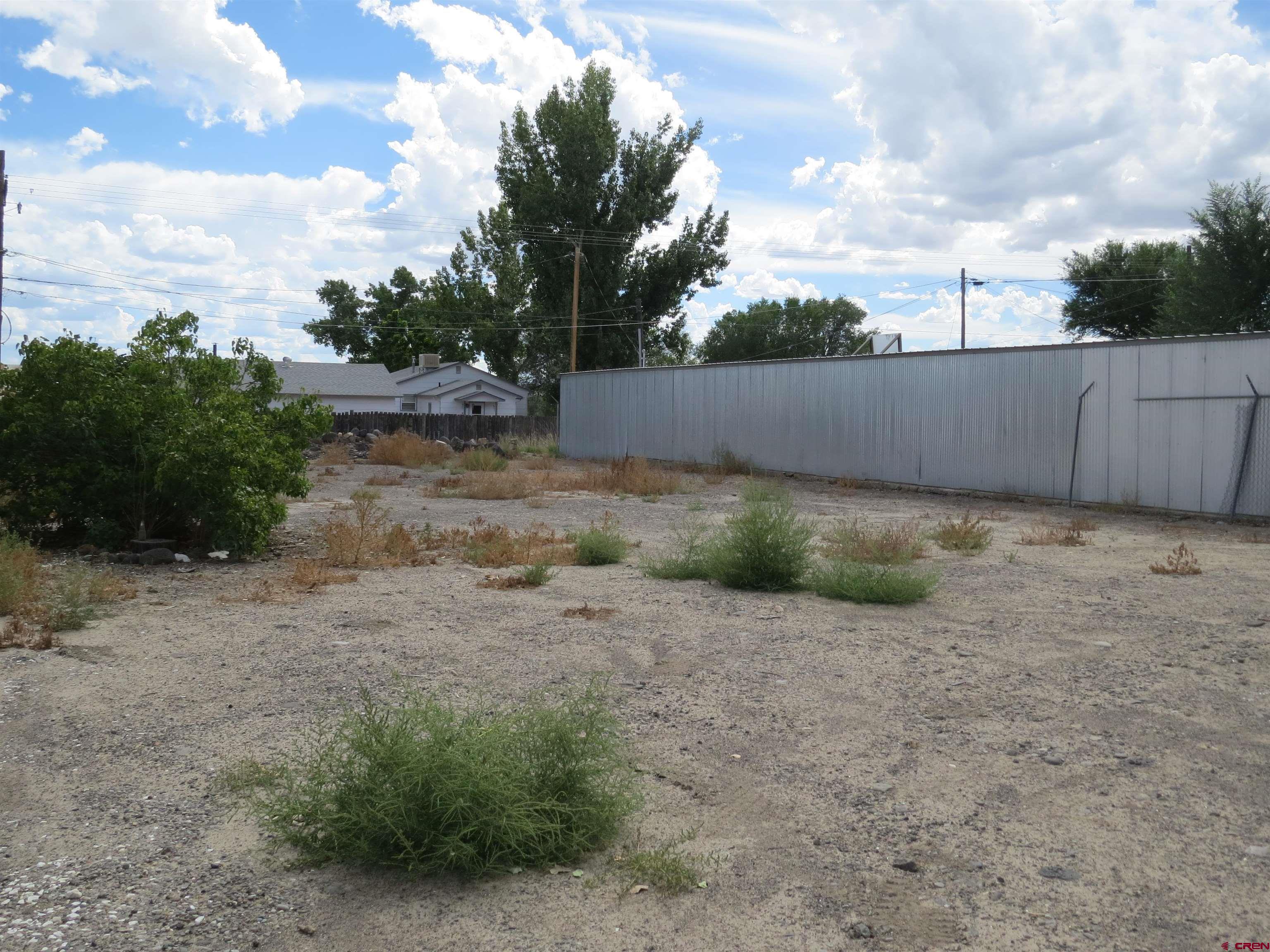 Tbd Canal Street Austin, CO 81410 - Photo 5 of 6 a view of a backyard