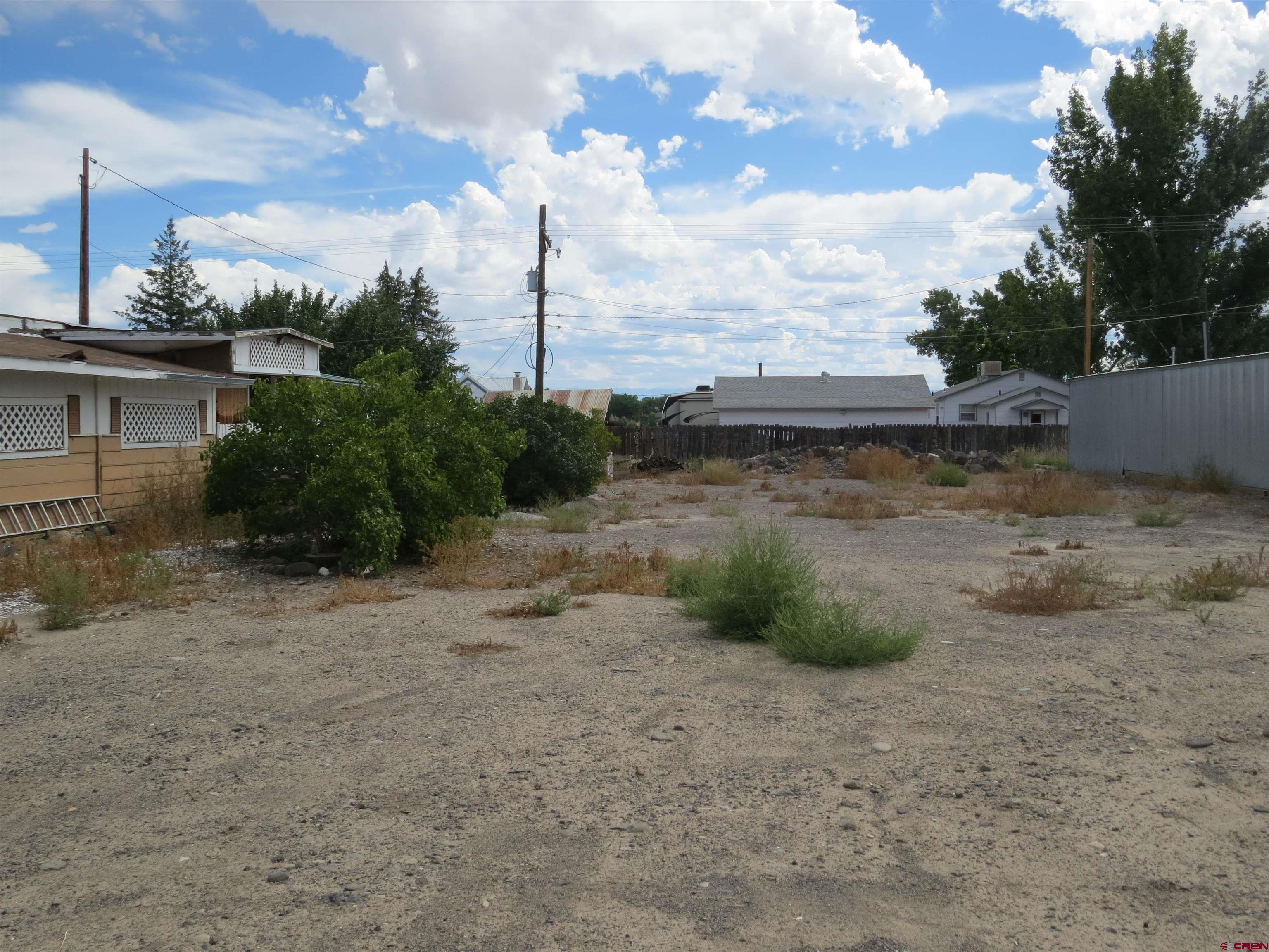 Tbd Canal Street Austin, CO 81410 - Photo 6 of 6 a view of a dry yard with trees