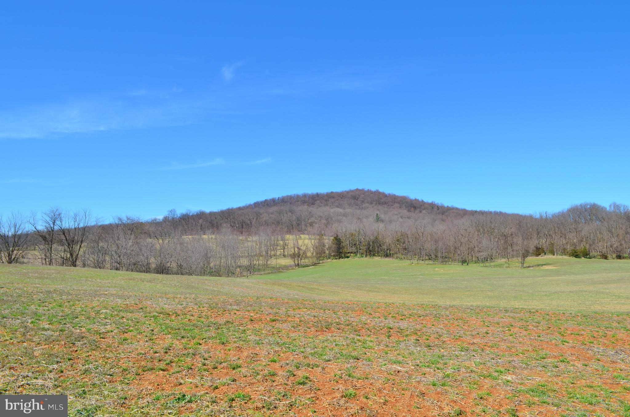 0 Pine Woods Road Quicksburg, VA 22847 - Photo 3 of 13 Exterior (General)