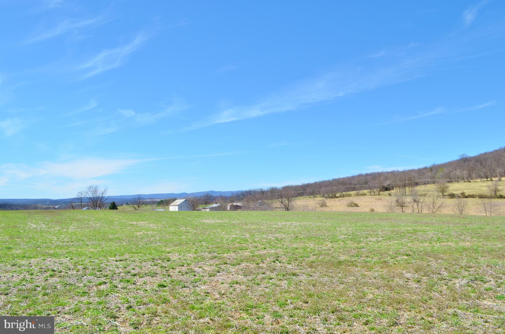0 Pine Woods Road Quicksburg, VA 22847 - Photo 4 of 13 Exterior (General)