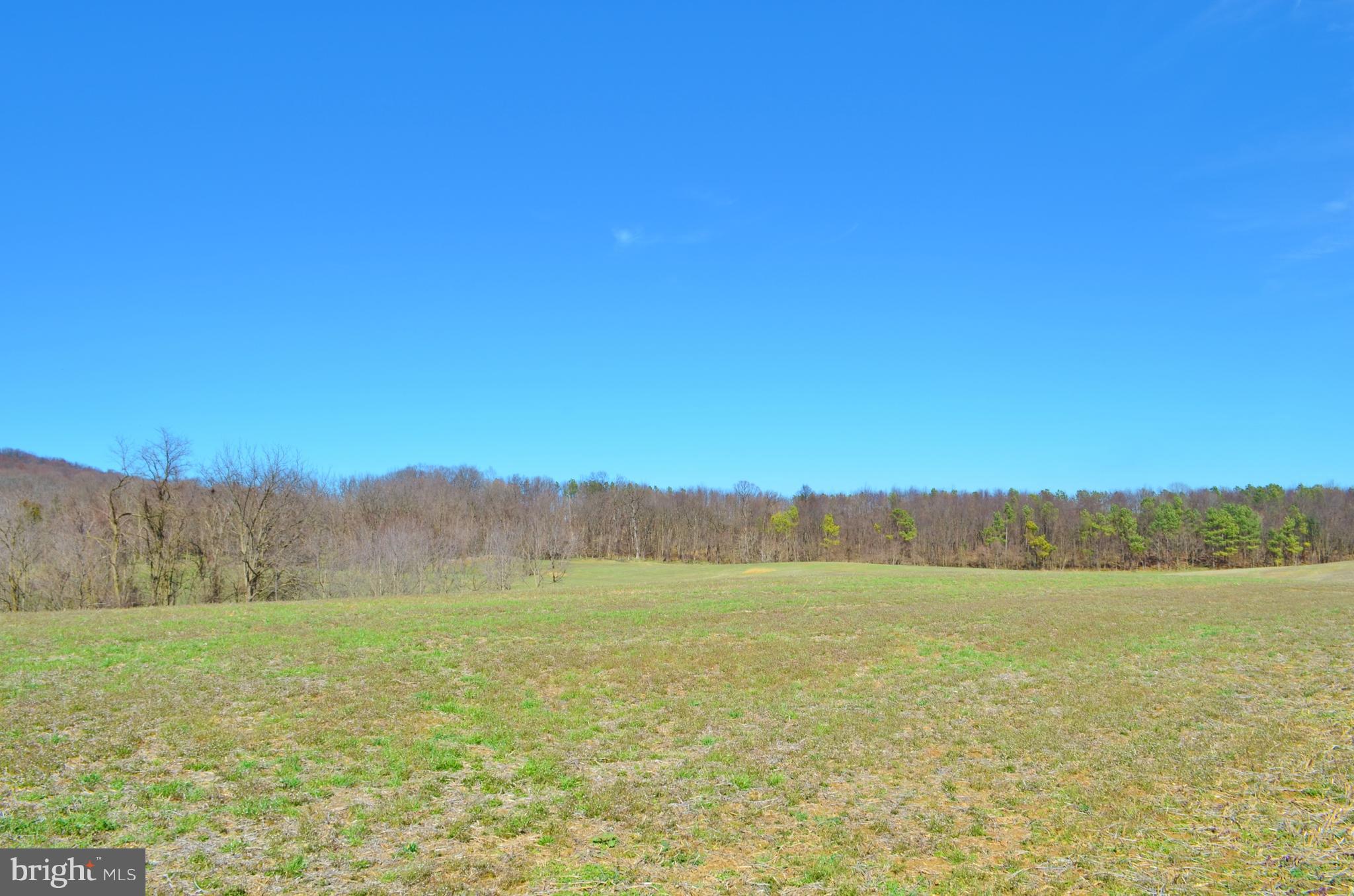 0 Pine Woods Road Quicksburg, VA 22847 - Photo 10 of 13 Exterior (General)