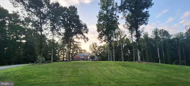 a view of a grassy field with trees in the background