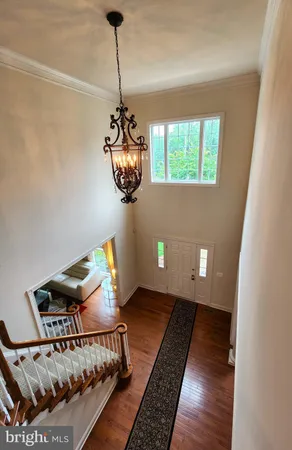 a living room with a bed furniture and a window