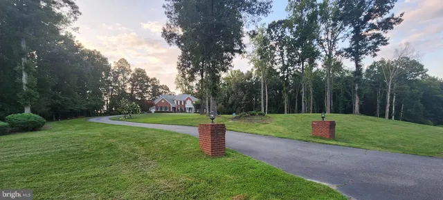 a view of a park with large trees