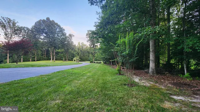 a view of a tennis ground with large trees