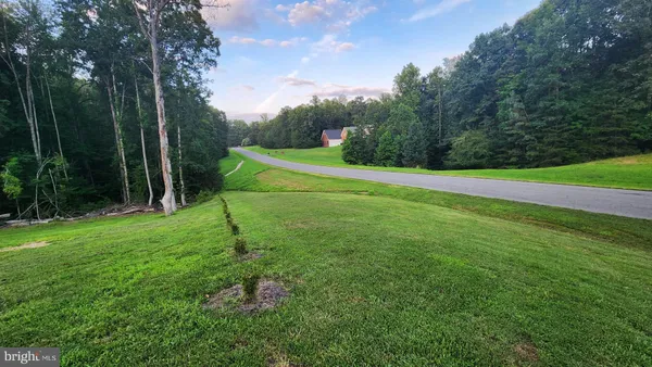 a view of a park with large trees