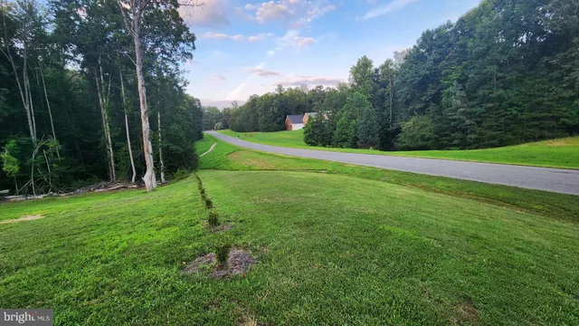 a view of a park with large trees