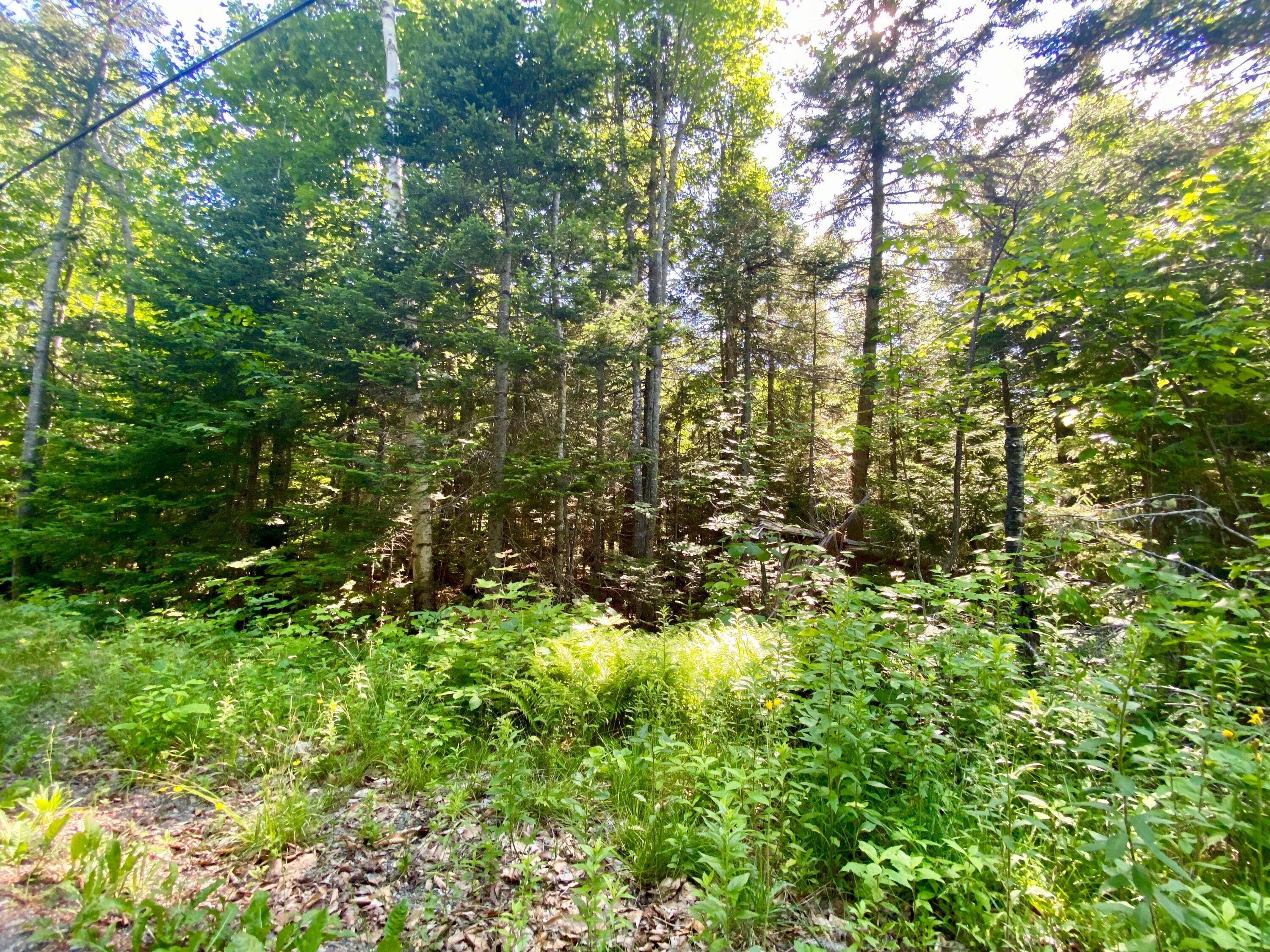 M34-l44.2a M34-l44.2a Curley Road Rangeley, ME 04970 - Photo 1 of 14 curly A