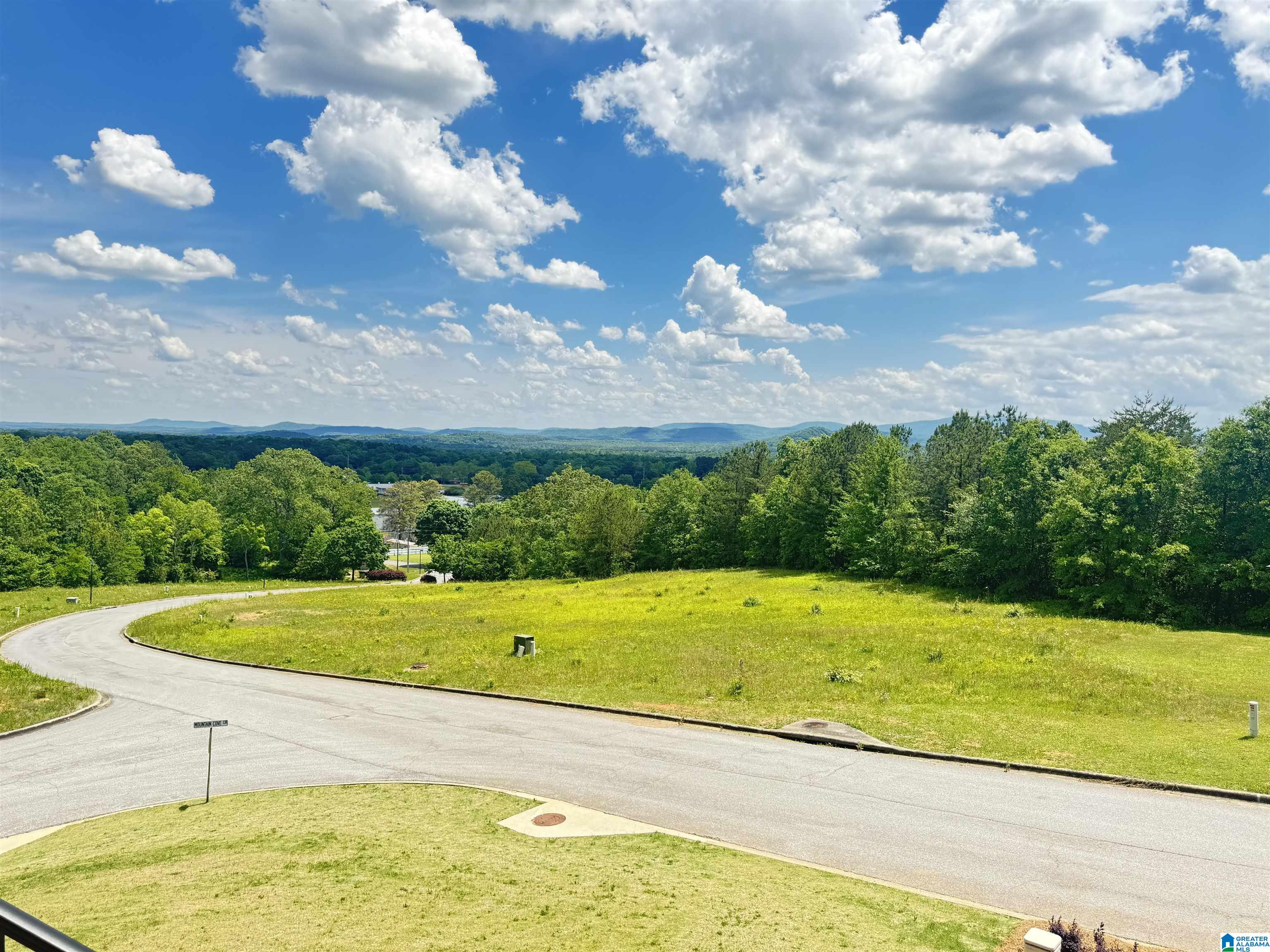 142 Mountain Ridge Road Oxford, AL 36203 - Photo 47 of 63