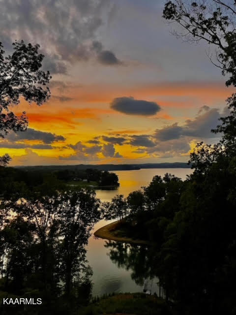 445 Jack Potts Drive Dandridge, TN 37725 - Photo 45 of 49 unnamed-12