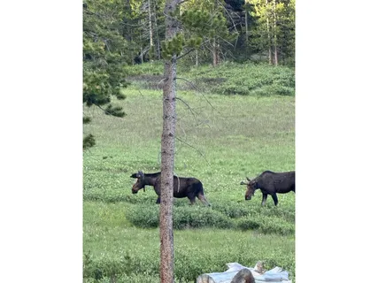 $749,999 | 428 Rustic Road, Bellvue, CO 80512