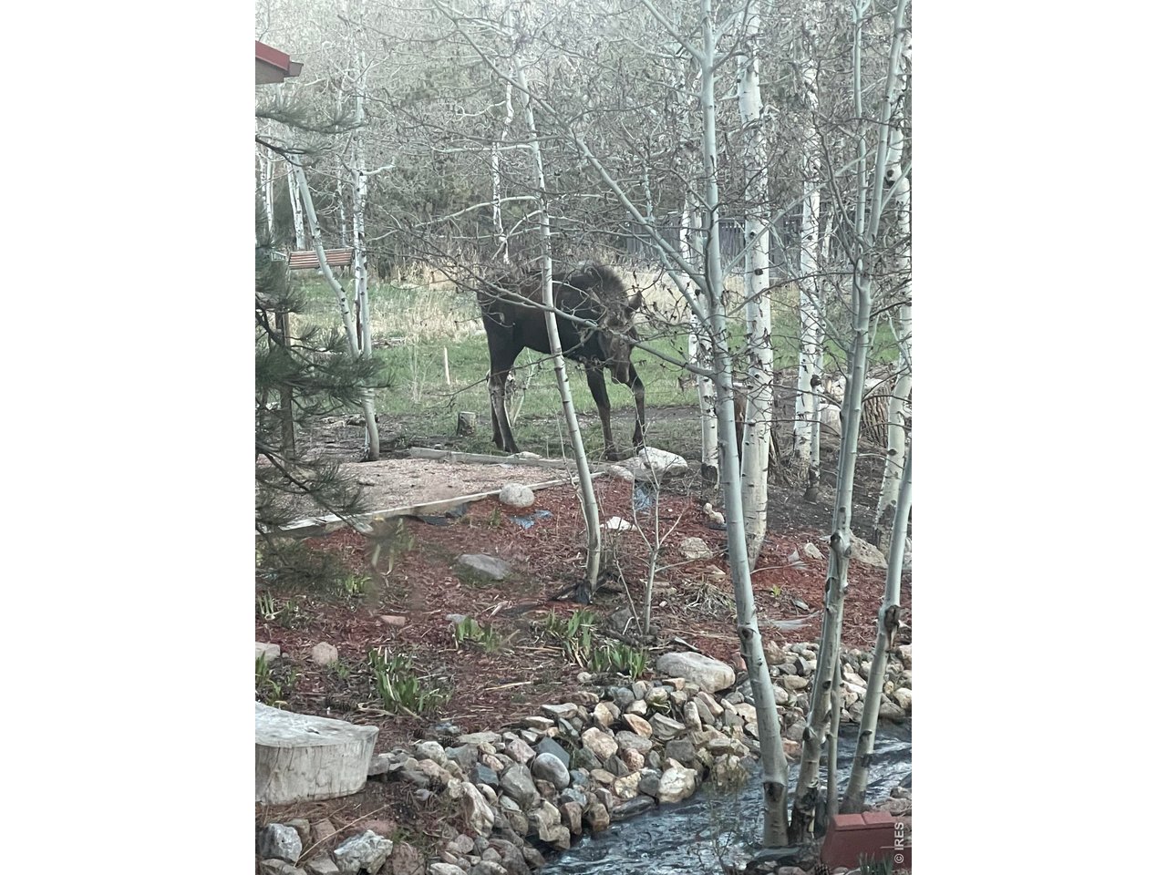 428 Rustic Road Bellvue, CO 80512 - Photo 41 of 43