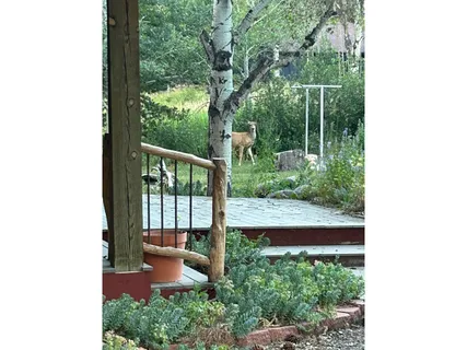 $749,999 | 428 Rustic Road, Bellvue, CO 80512