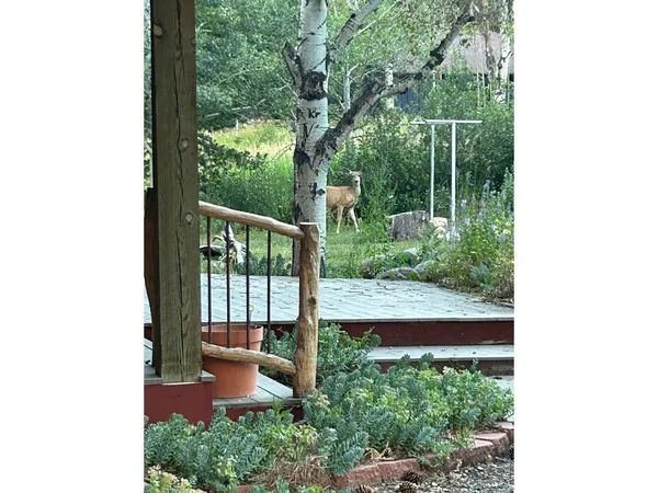 $799,000 | 428 Rustic Road, Bellvue, CO 80512