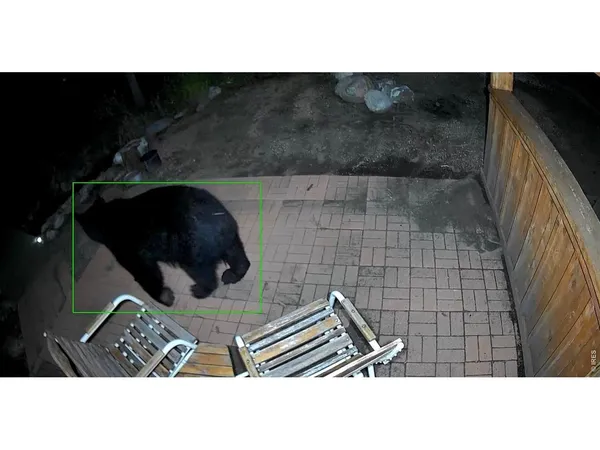 $799,000 | 428 Rustic Road, Bellvue, CO 80512