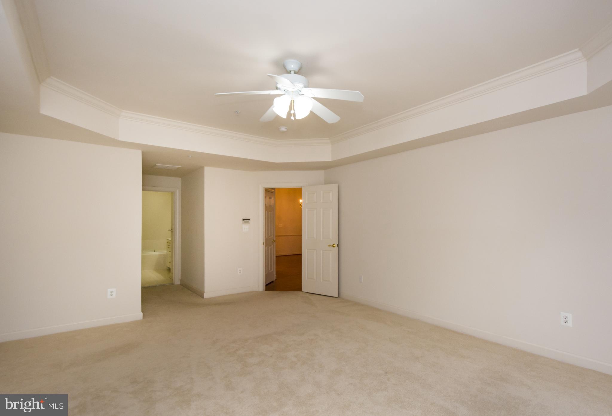 4420 Summer Grape Road Baltimore, MD 21208 - Photo 21 of 43 Tray Ceiling