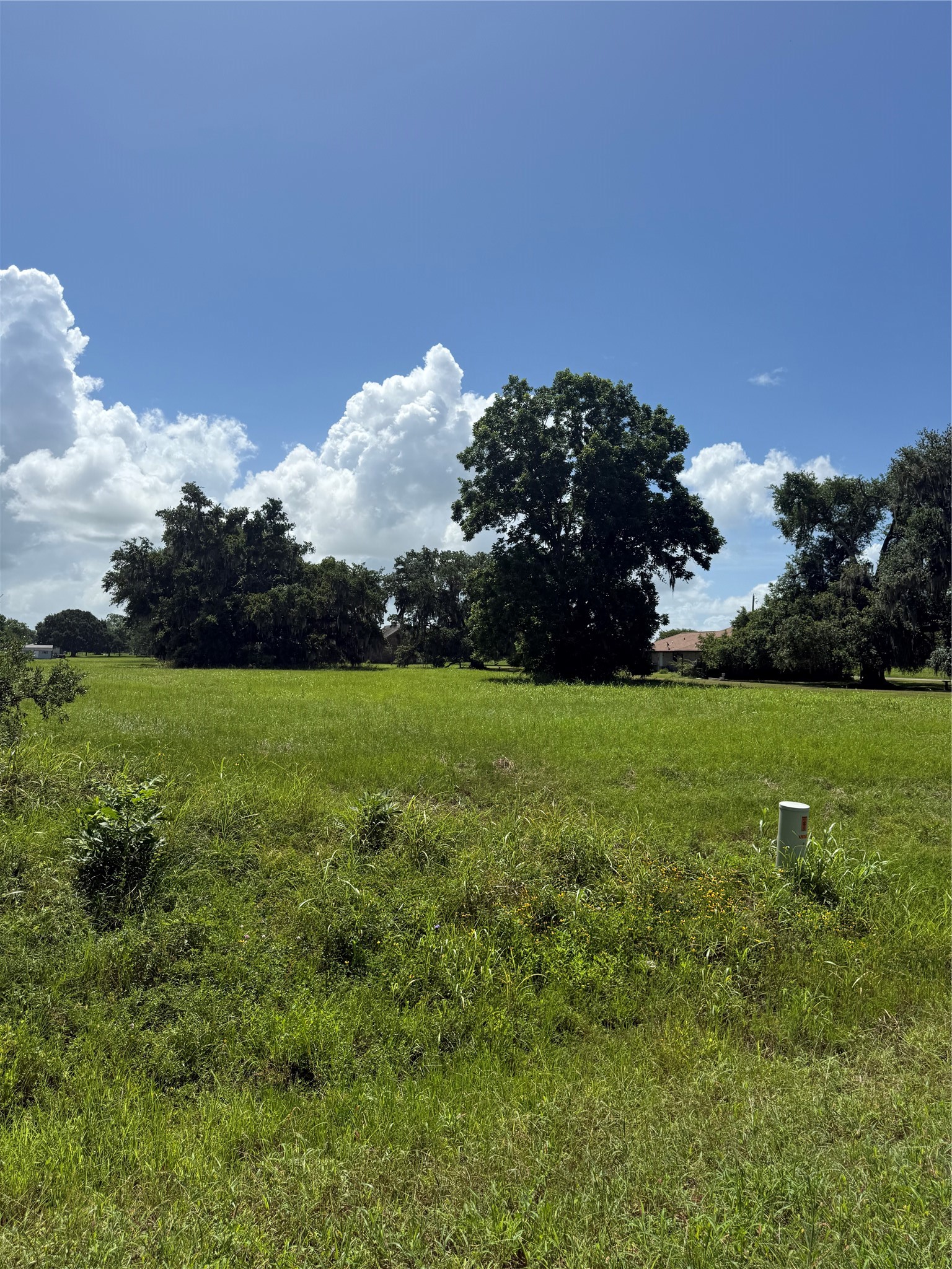 1149 Frontier Trail Angleton, TX 77515 - Photo 4 of 6