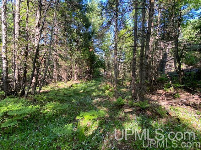 3980 County Road 476 Ishpeming, MI 49849 - Photo 35 of 37
