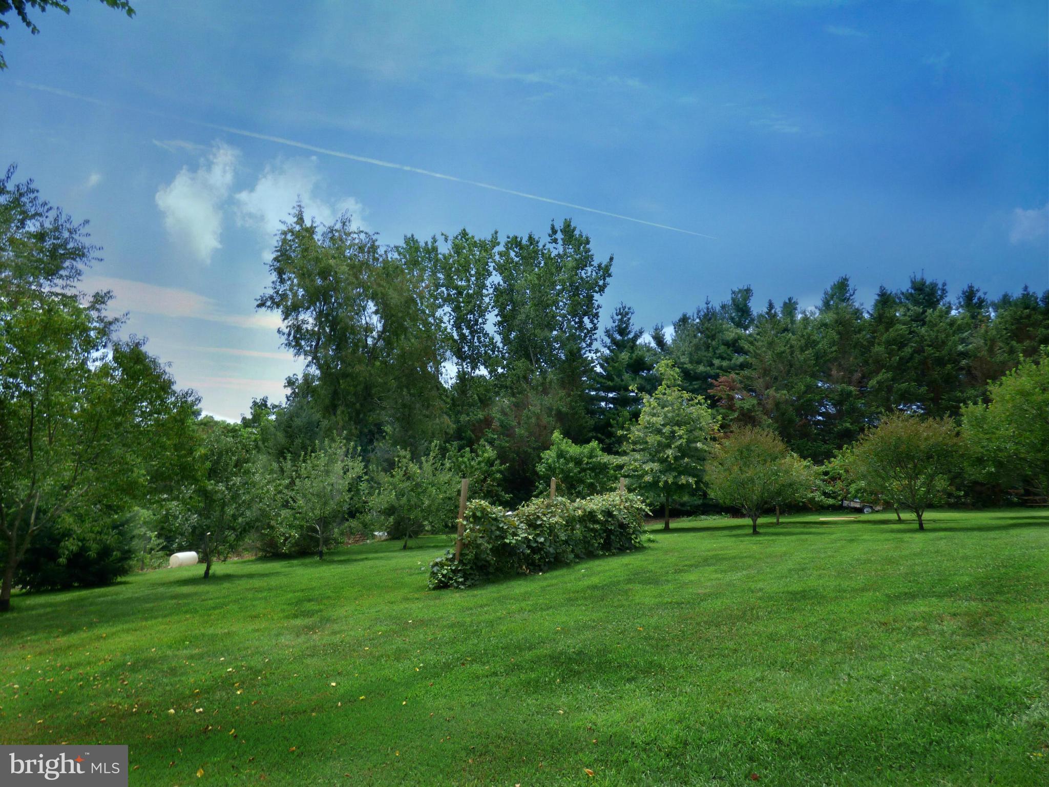 8409 Mapleville Road Mount Airy, MD 21771 - Photo 11 of 30 a view of a lush green space