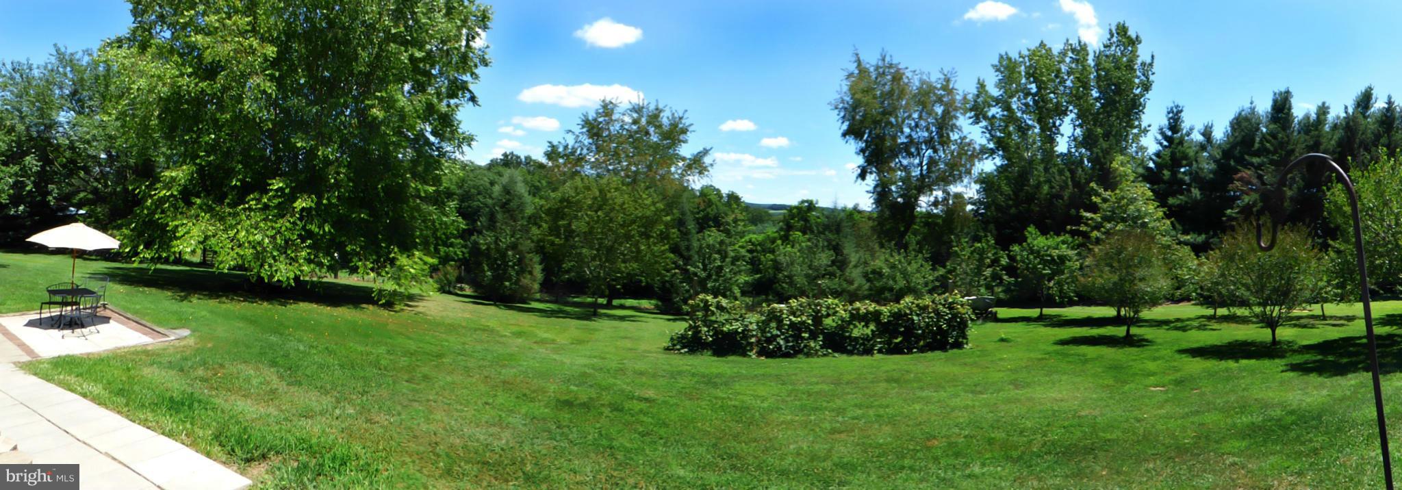 8409 Mapleville Road Mount Airy, MD 21771 - Photo 18 of 30 a view of a garden with a tree