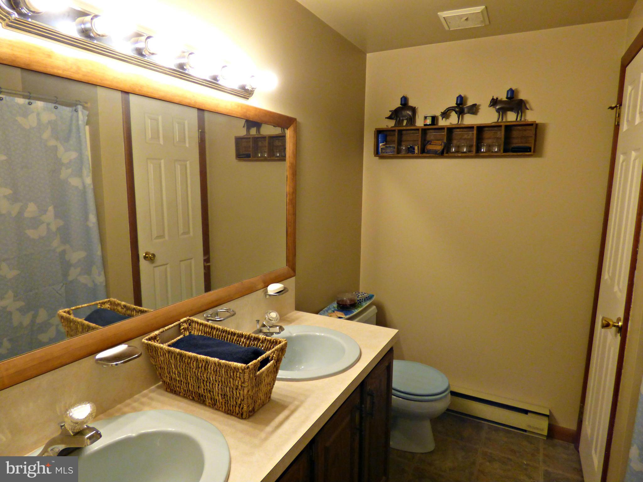 8409 Mapleville Road Mount Airy, MD 21771 - Photo 21 of 30 a bathroom with a sink and mirror with toilet