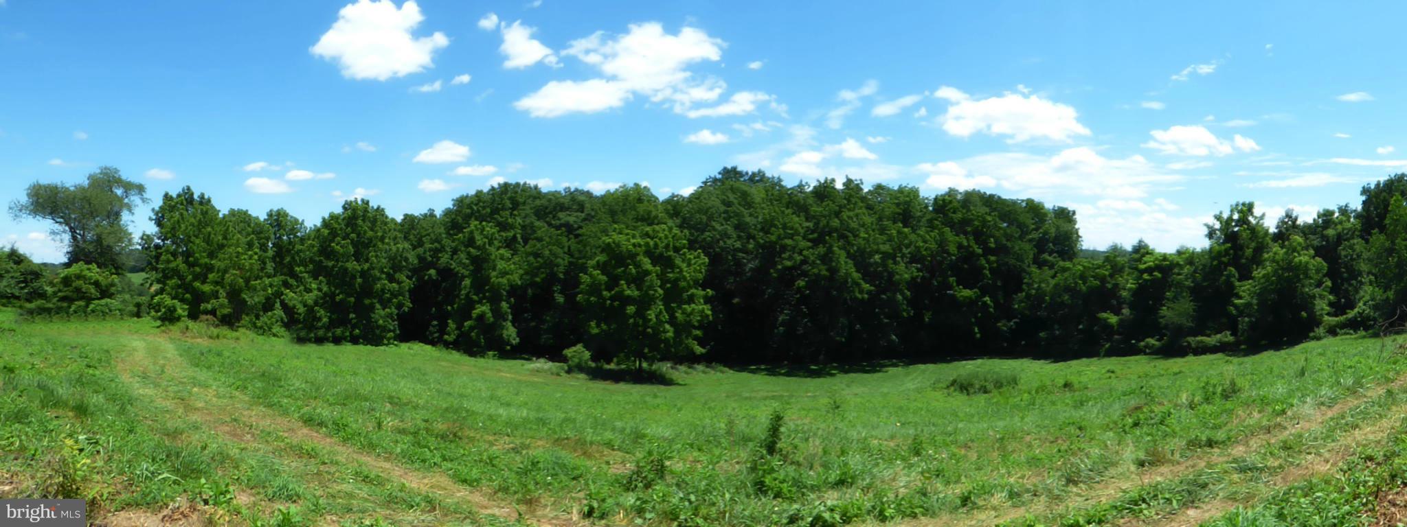 8409 Mapleville Road Mount Airy, MD 21771 - Photo 24 of 30 a view of yard with green space