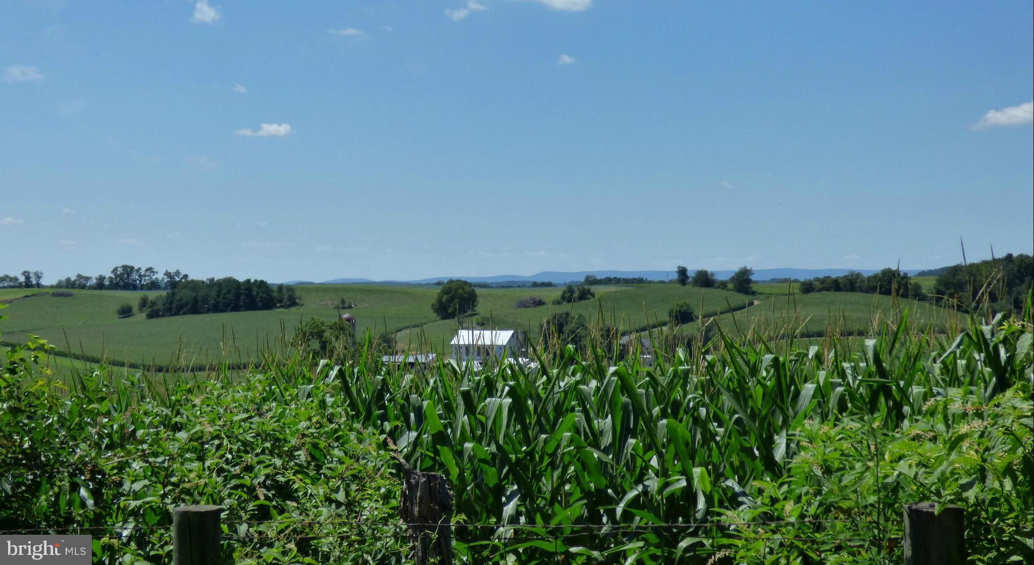 8409 Mapleville Road Mount Airy, MD 21771 - Photo 27 of 30 a view of a green field with lots of bushes