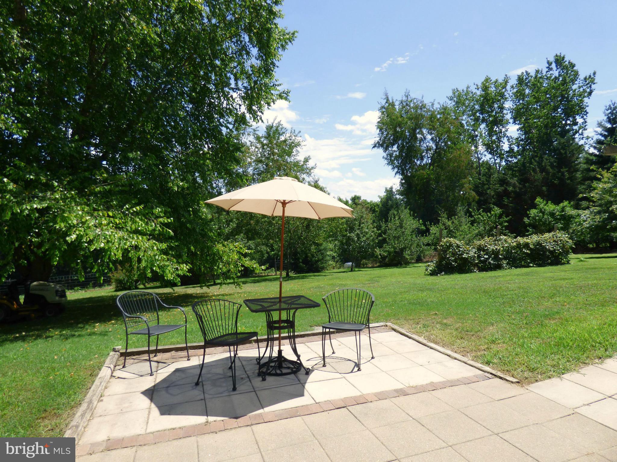 8409 Mapleville Road Mount Airy, MD 21771 - Photo 6 of 30 a view of a backyard with a garden and plants
