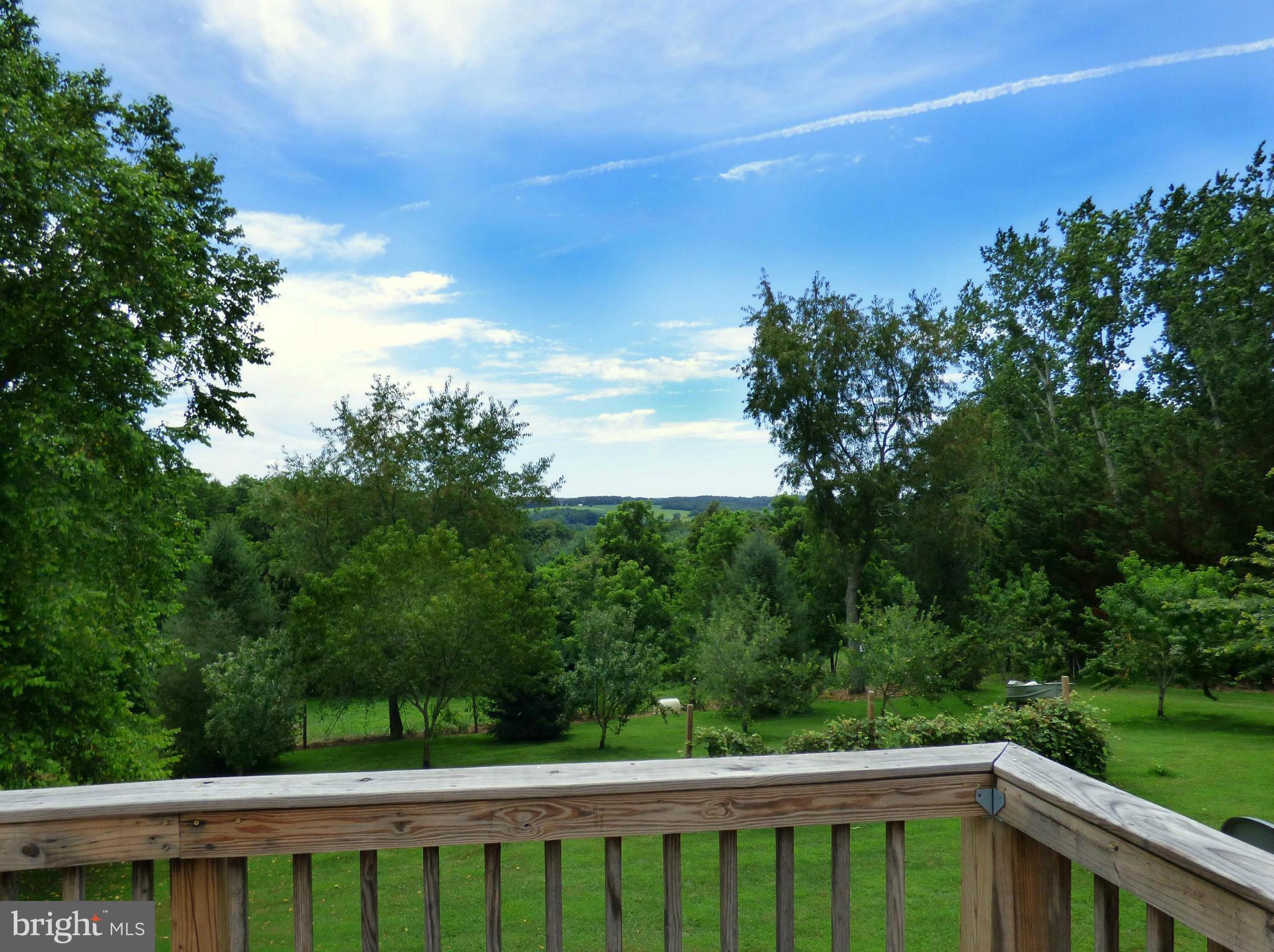 8409 Mapleville Road Mount Airy, MD 21771 - Photo 8 of 30 a view of a balcony with mountain view